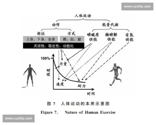 体育数据深度解析与运动表现优化策略研究探索