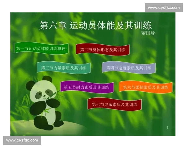 提升综合竞技能力与体能素质的体育水平发展策略研究